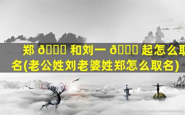 郑 🐝 和刘一 🕊 起怎么取名(老公姓刘老婆姓郑怎么取名)